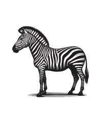 zebra vector art,graphics zebras icons set,vintage illustration zebra clipart,vector zebras flat style artwork design