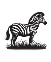 zebra vector art,graphics zebras icons set,vintage illustration zebra clipart,vector zebras flat style artwork design