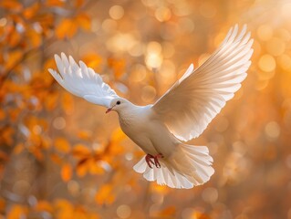 White dove soaring with golden autumn leaves as backdrop