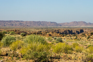 Xeric scrubland in the arid environment of the Nama-karoo,
