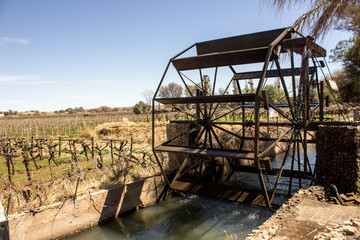 The waterwheel at Keimoes with Vineyards in the background