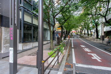 渋谷サクラステージの脇道、さくら坂