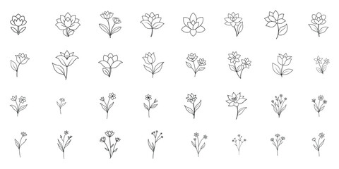 Simple botanical sketch, luxury floral collection for wedding invites, romantic flowers.