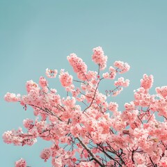 photograph of a lush blooming cherry blossom tree with delicate pale pink petals cascading against a cloudless cerulean sky captured with a professional grade DSLR crisp 