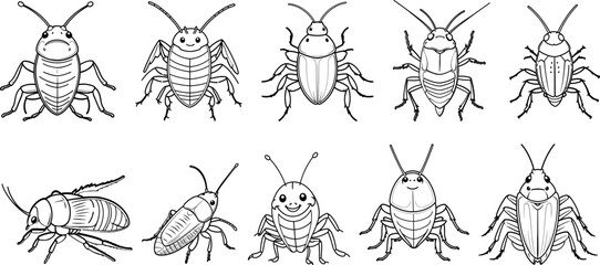 Smokybrown Cockroach hand drawing coloring page and outline vector design