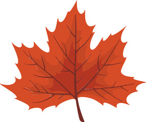 Autumn red leaves illustration vector