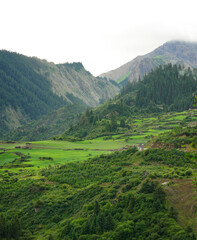 Obraz premium Zagana