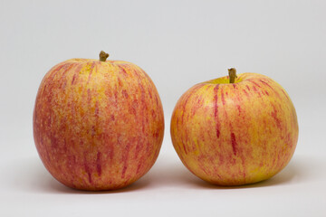 two beautiful apples in close-up on a white background