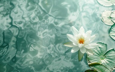 Pure water and lotus,created with Generative AI tecnology.