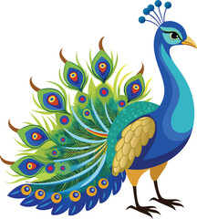 Obraz premium A Vector Drawing of A Beautiful peacock 