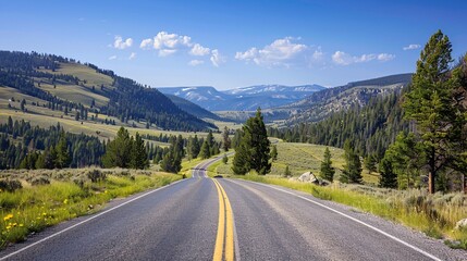 Fototapeta premium A_scenic_drive_through_Yellowstones