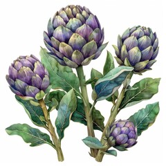 Obraz premium Artichokes, intricate patterns, green and purple hues, watercolor style, isolated on white background
