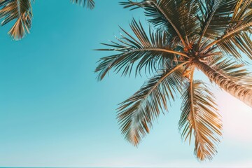 Traveler with beach resort and sunlight filtering through palm trees, offering a glimpse into relaxation and tropical leisure, banner, with copy space