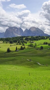 Green meadow dominating the summer landscape in the italian dolomites.