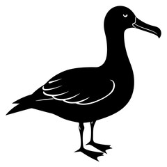 Albatross silhouette vector Illustration with a white background