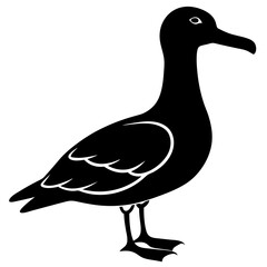 Albatross silhouette vector Illustration with a white background