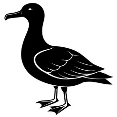 Albatross silhouette vector Illustration with a white background