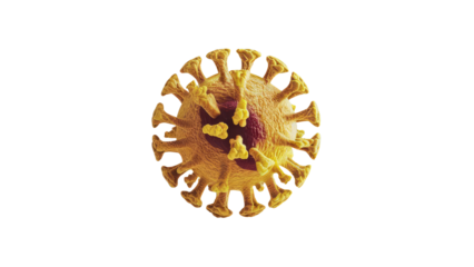 Pathogenic flu virus on white background. 