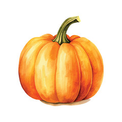 watercolor pumpkin isolated on white background