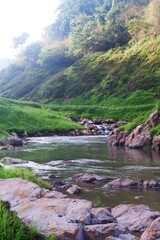 View of a fresh stream among a fresh green forest and hill, peaceful concept