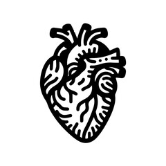 Human heart anatomy flat design