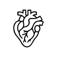 Human heart anatomy flat design