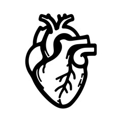 Human heart anatomy flat design