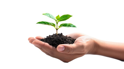 Hand holding a young green plant with soil, symbolizing growth and nurturing. Ideal for environmental, sustainability, or growth-themed designs. Transparent background.