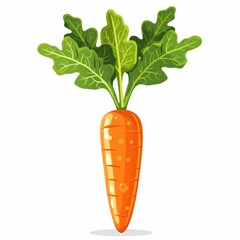 A carrot clipart, vegetable element, flat design, orange and green, isolated on white background