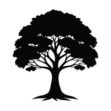 recommend clip art: a tree silhouette isolated on white