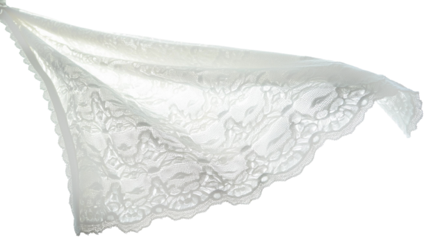 レース 繊細 花柄 透明感 ベージュ 高品質 ファッション ホームデコレーション 手仕事 エレガント 柔らかい 軽量 縫製素材 インテリア 布地 アパレル業界 クラフト 手芸用品 テクスチャー 模様デザイン