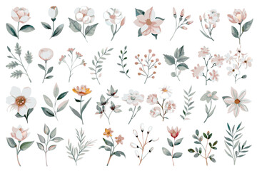 Wild floral watercolor element collection