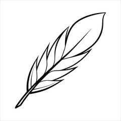 A feather line art vector