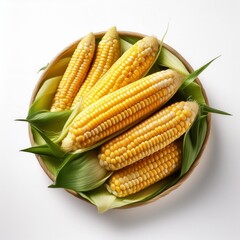 Mais Kolben Farmer Weizen Felder