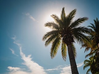 Palm tree against sun Bright sky background with space for text - high contrast