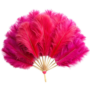 Fototapeta red feather