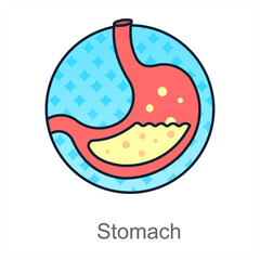 Stomach