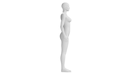 Female Mannequin Standing in Neutral Pose Isolated on Transparent Background. Side View.