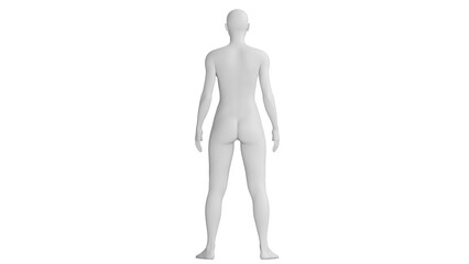 Female Mannequin Standing in Neutral Pose Isolated on Transparent Background. Back View.