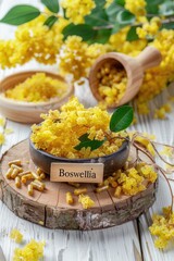 Boswellia and supplement capsules. Selective focus.