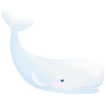 Sprem Whale cartoon pastel style illustration Cute ocean whale fish Hand drawn