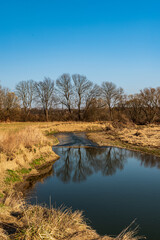 Early springtime CHKO Poodri with Odra river, meadows and trees