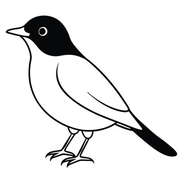 recommend clip art: American Robin Bird Vector Line Art Illustration.