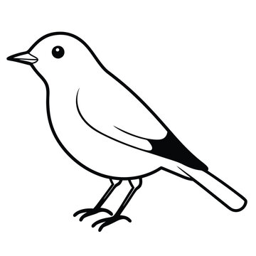 recommend clip art: American Robin Bird Vector Line Art Illustration.