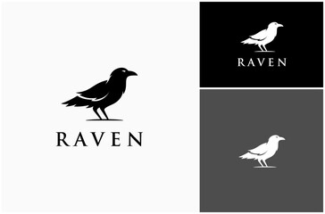 Raven Crow Corvus Gothic Horror Dark Scary Bird Silhouette Vector Logo Design Illustration