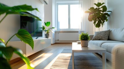 Bright and Modern Living Room with Sunlight, Indoor Plants, and Comfortable Sofa