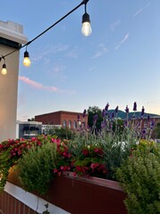 String lights and flower boxes with a sunset view in Bennington, VT © Cavan