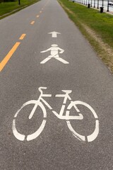 White Bicycle and Pedestrian Symbols on a Paved Path