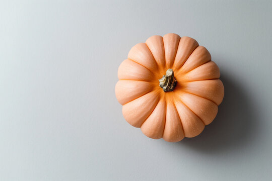 pumpkin on a black background
