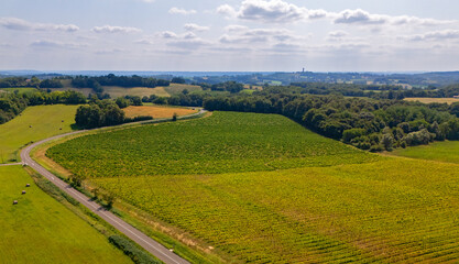 Obraz premium Colline et vignoble